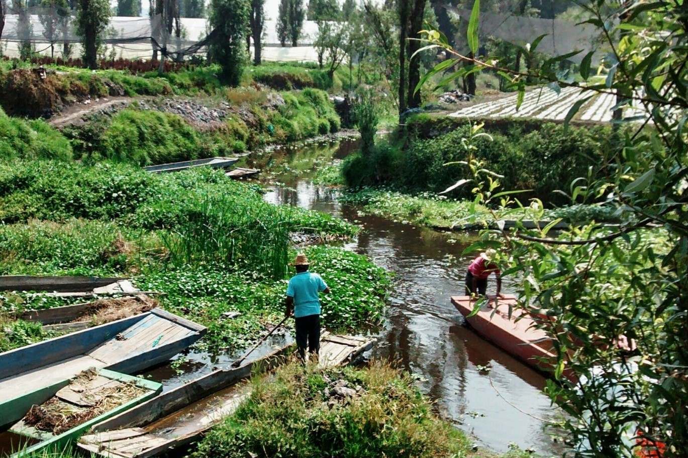 35-facts-about-chinampas