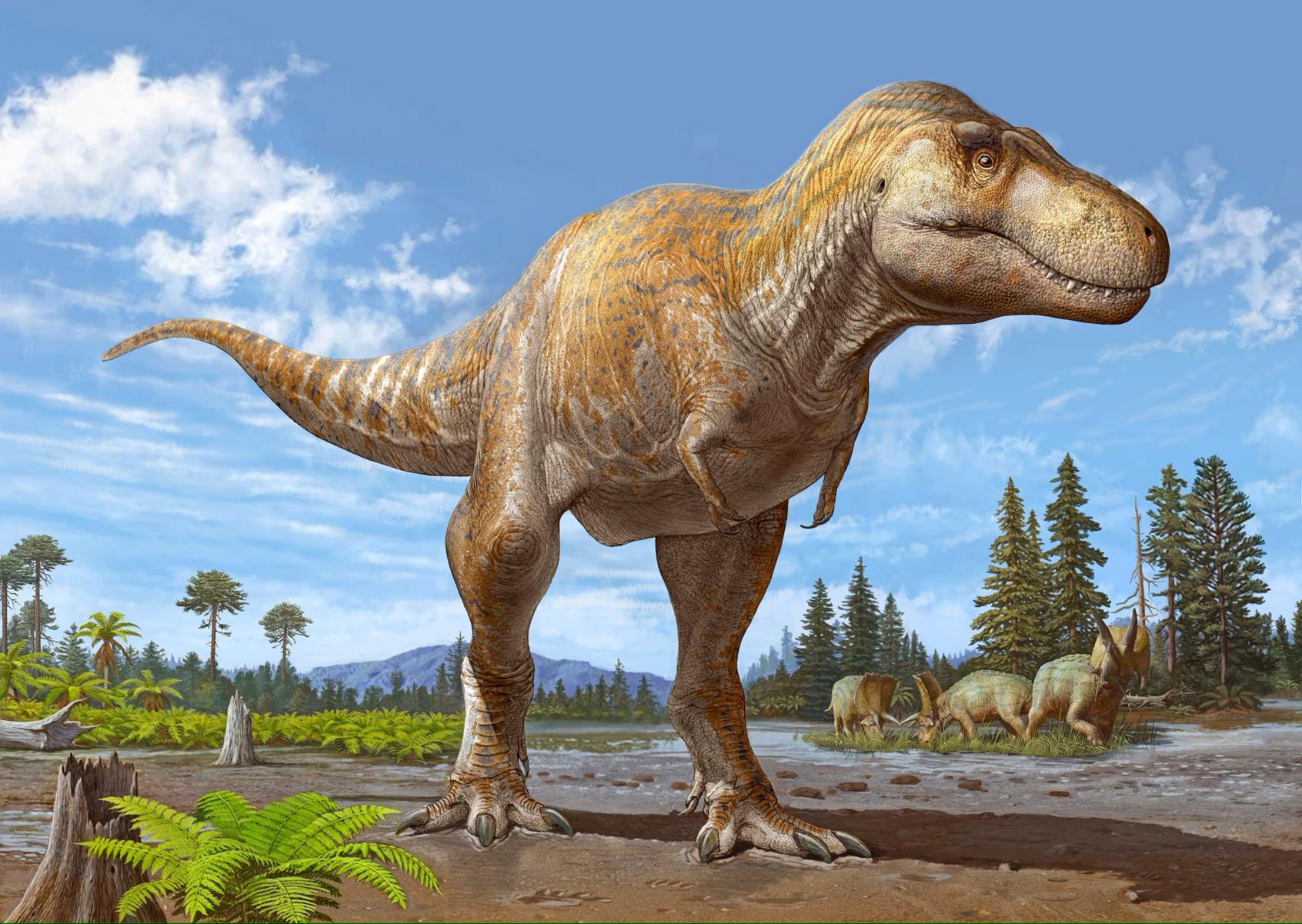 35-facts-about-dinosaurs