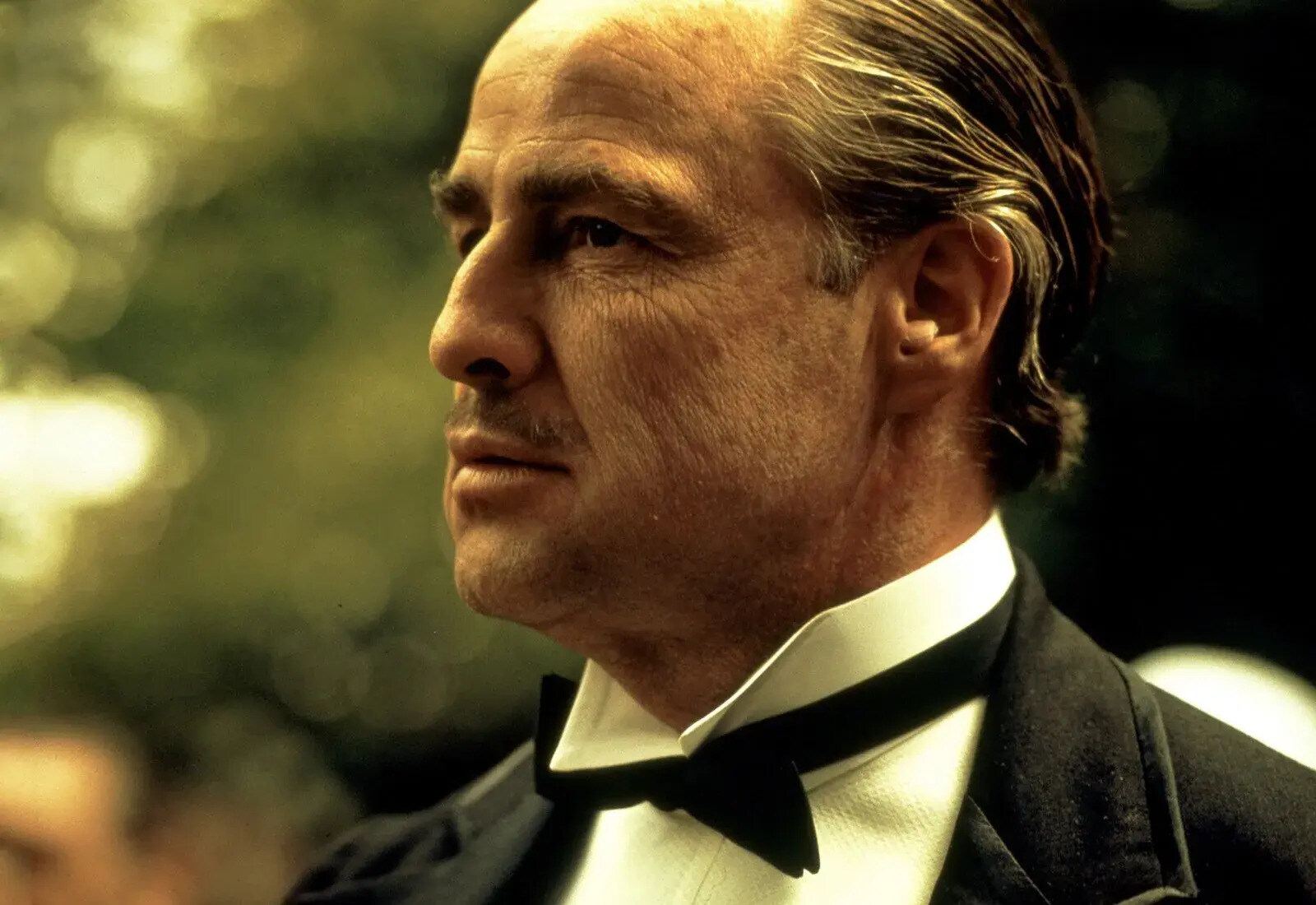 35-facts-about-don-corleone