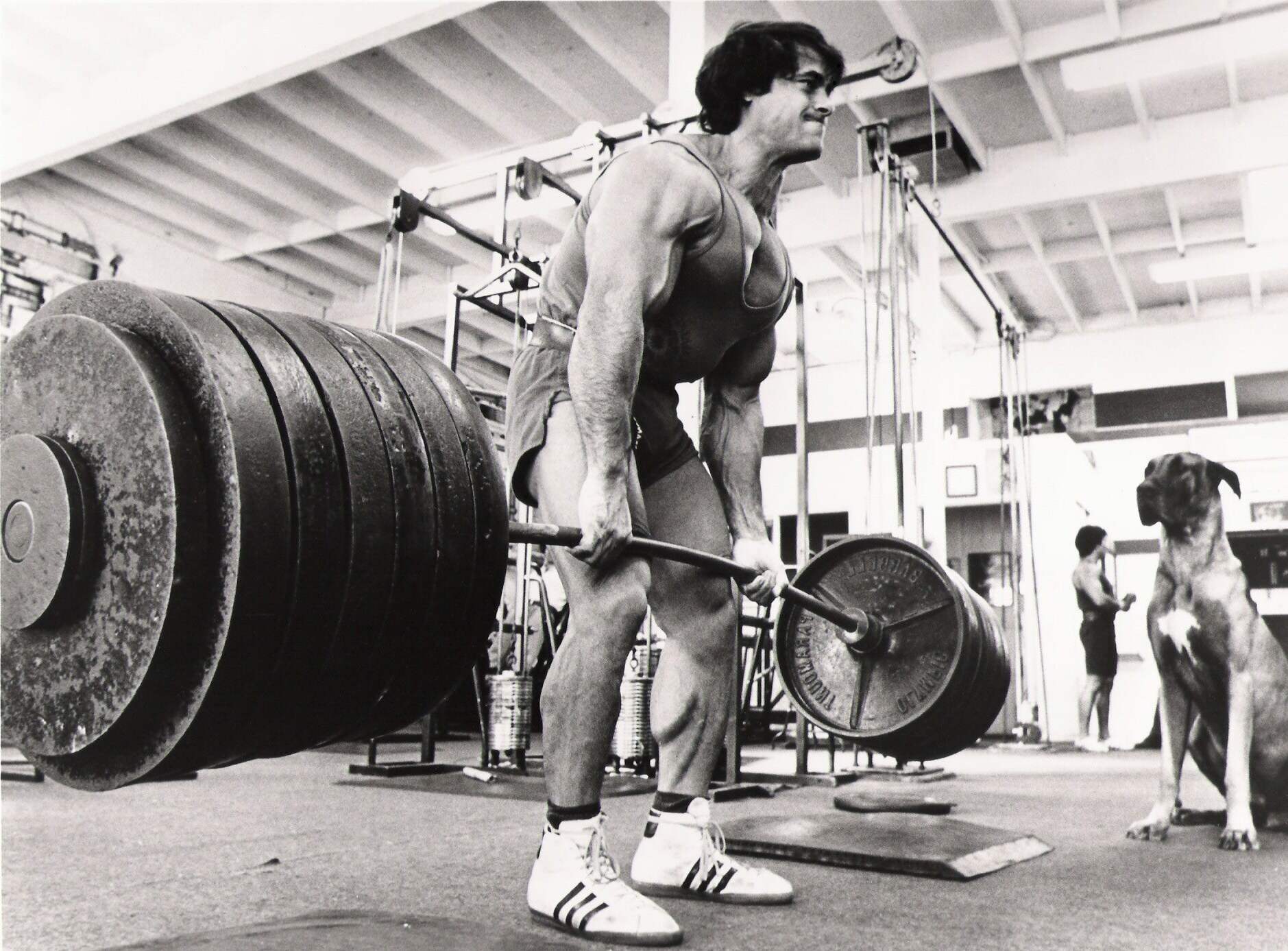 35-facts-about-franco-columbu