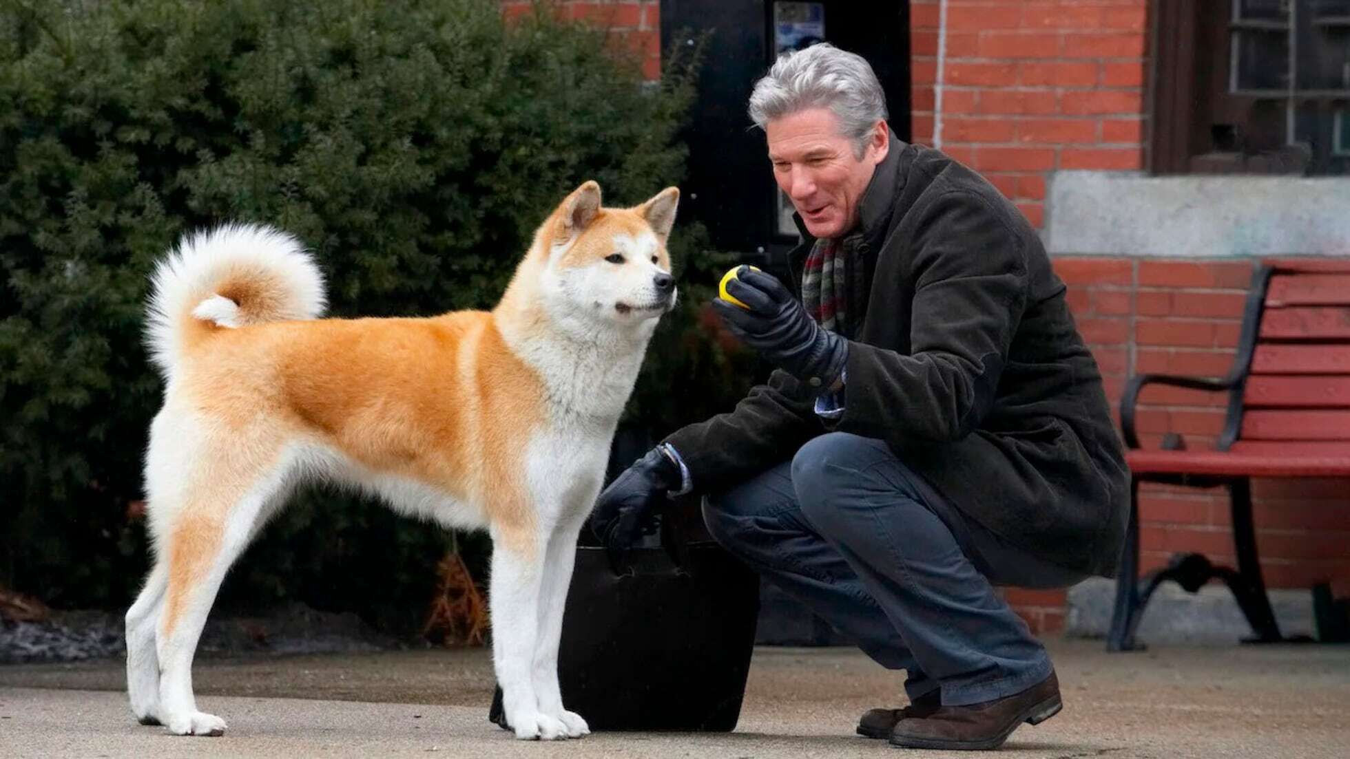 35-facts-about-hachiko