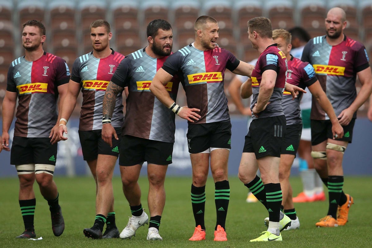 35-facts-about-harlequins