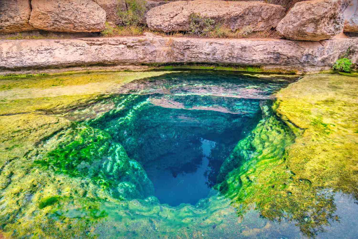 35-facts-about-jacobs-well-natural-area