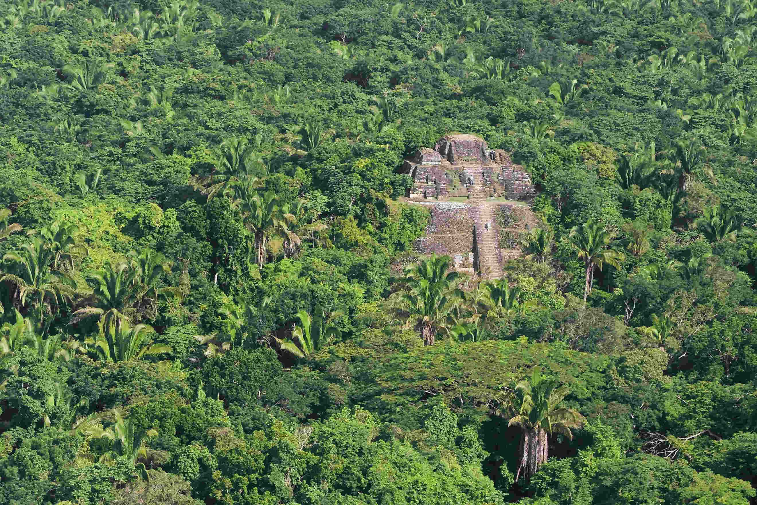 35-facts-about-ocumtun-lost-maya-city