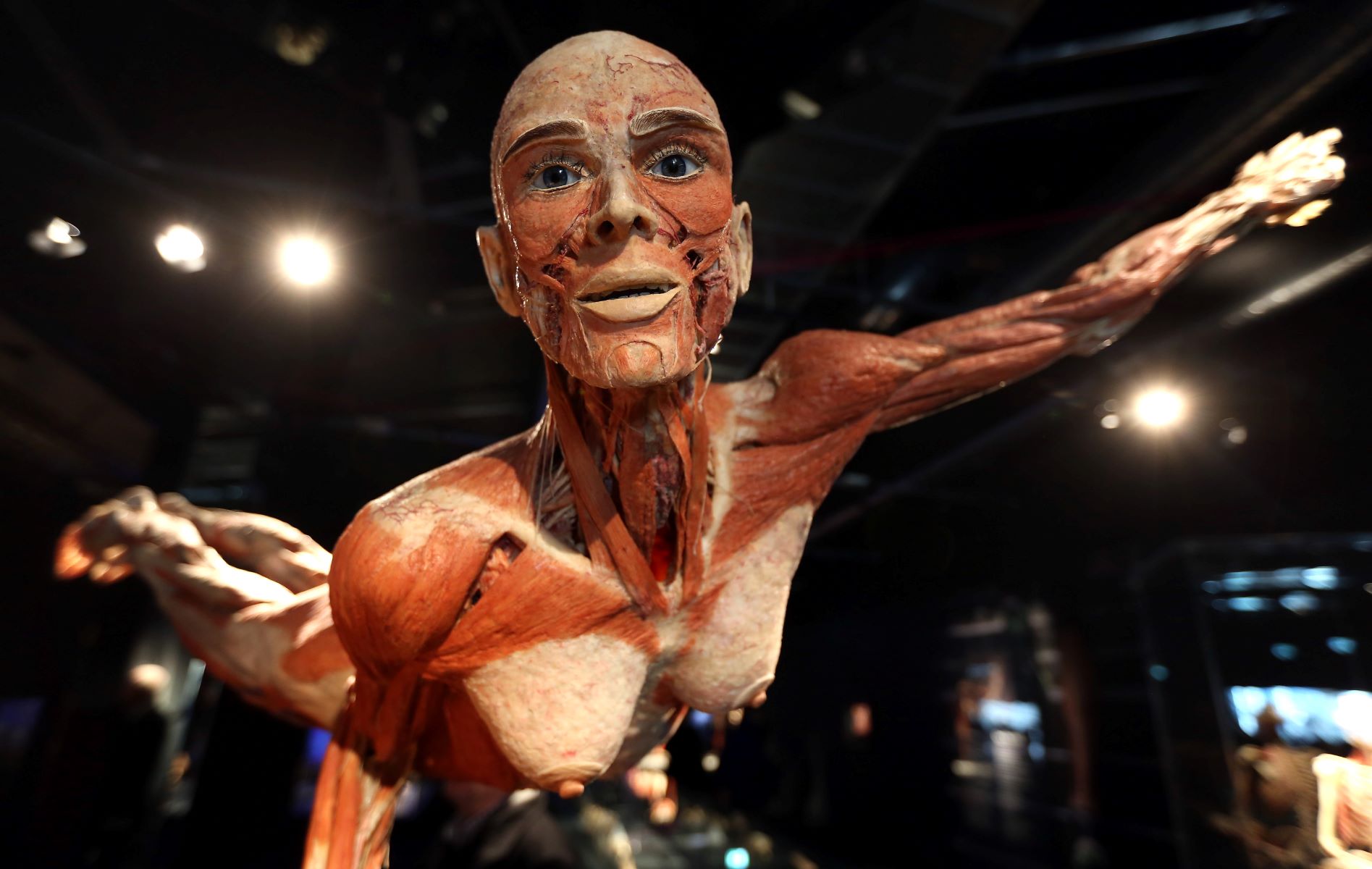 35-facts-about-plastination