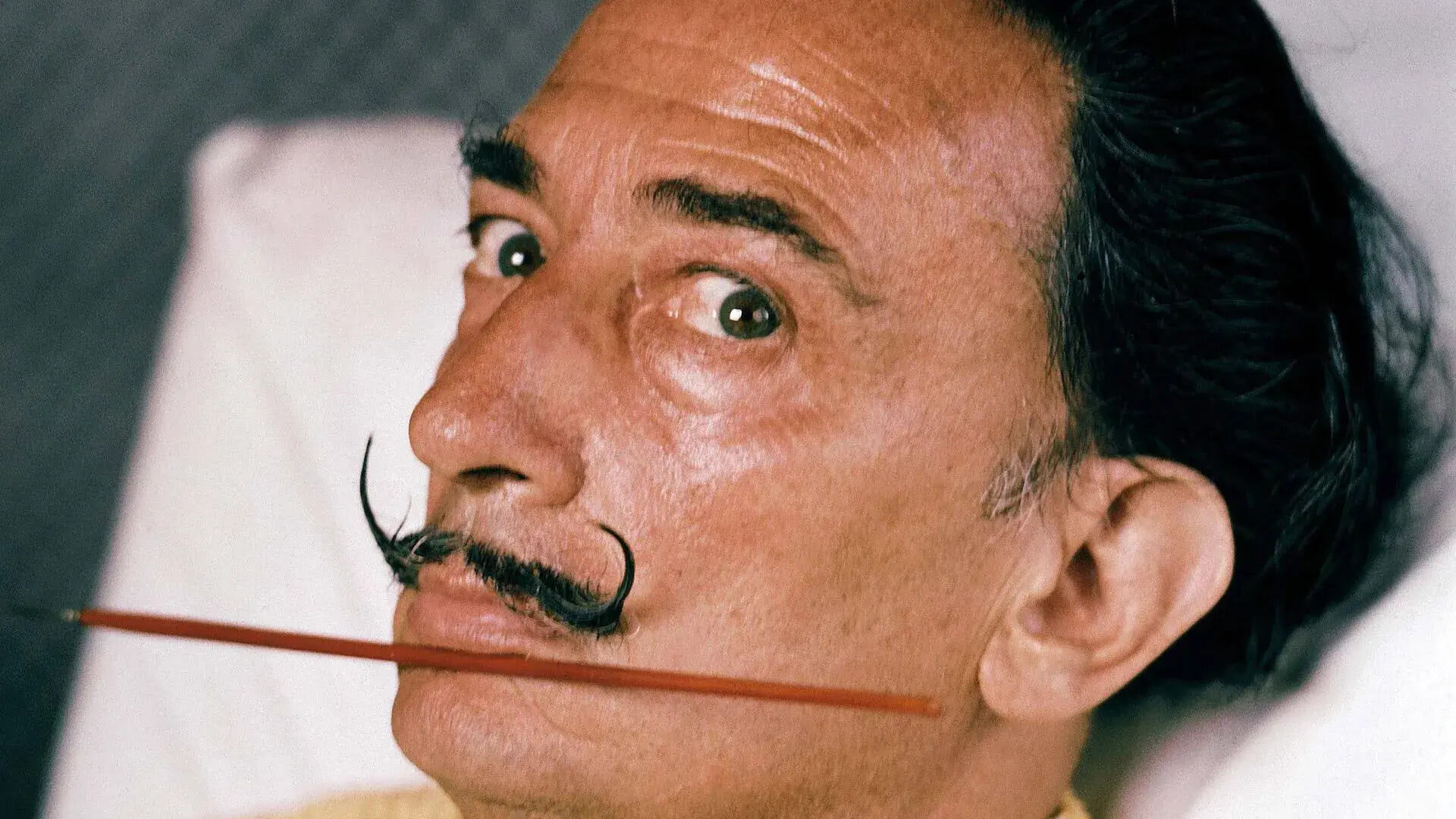 35-facts-about-salvador-dali