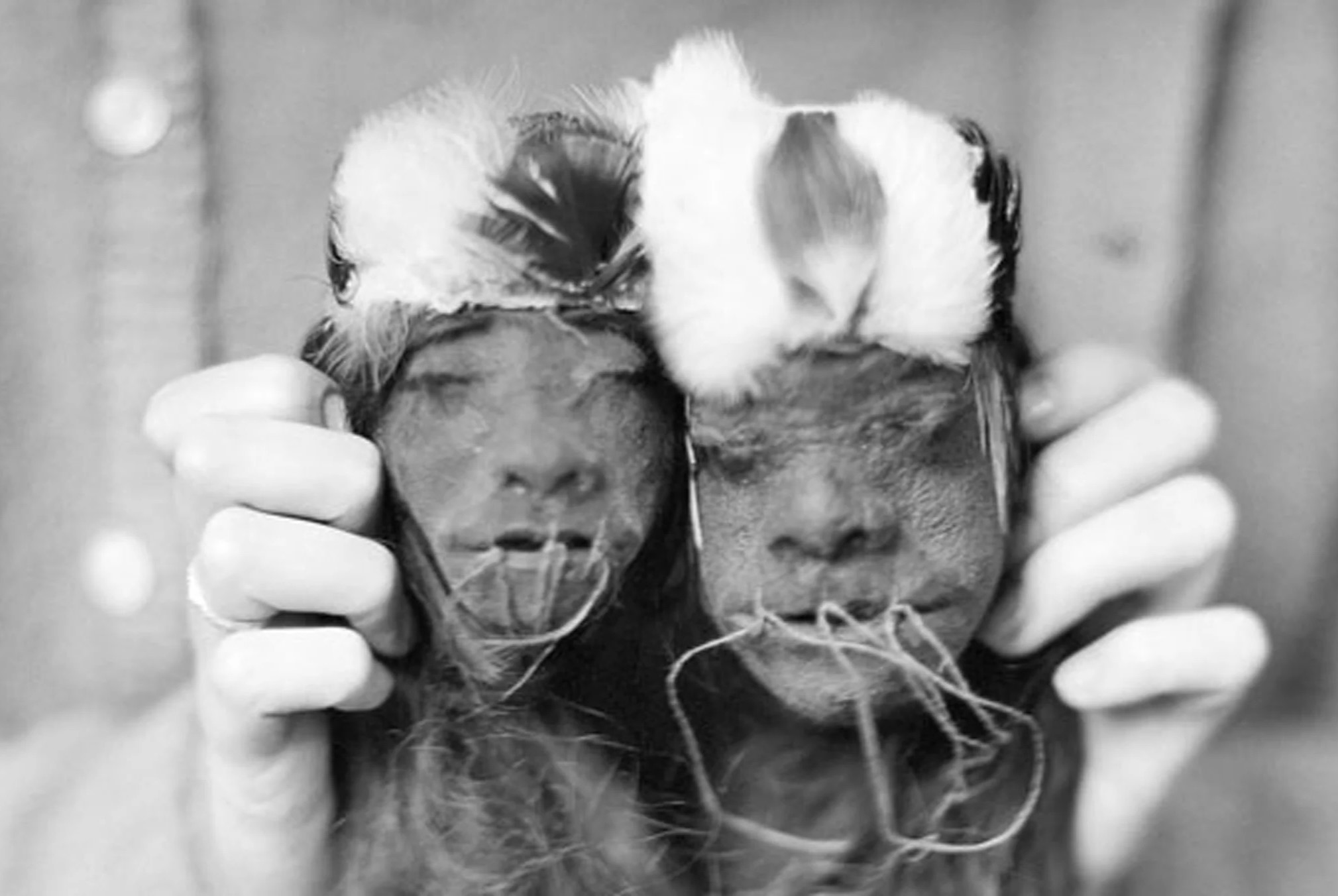 35-facts-about-shrunken-heads