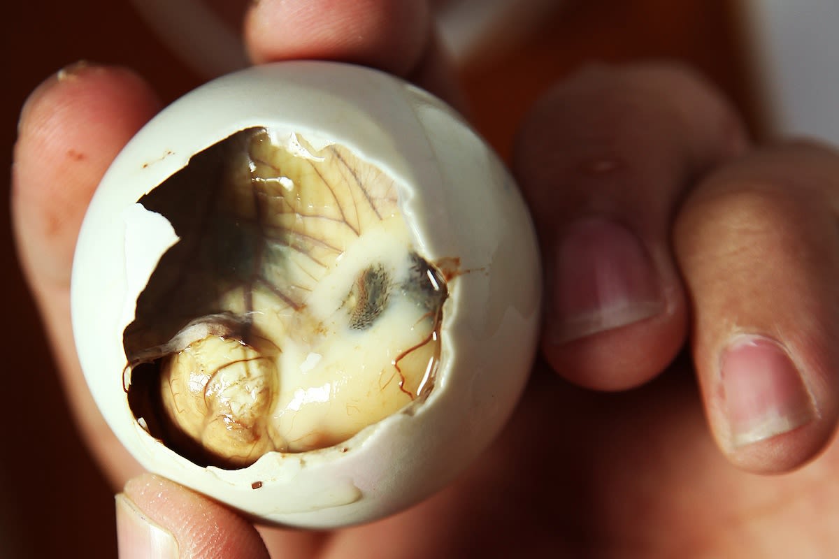 37-facts-about-balut-egg