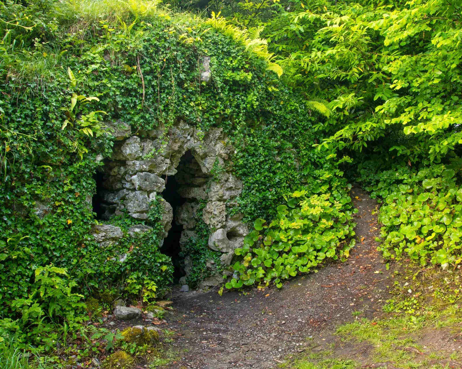 37-facts-about-garden-hermits