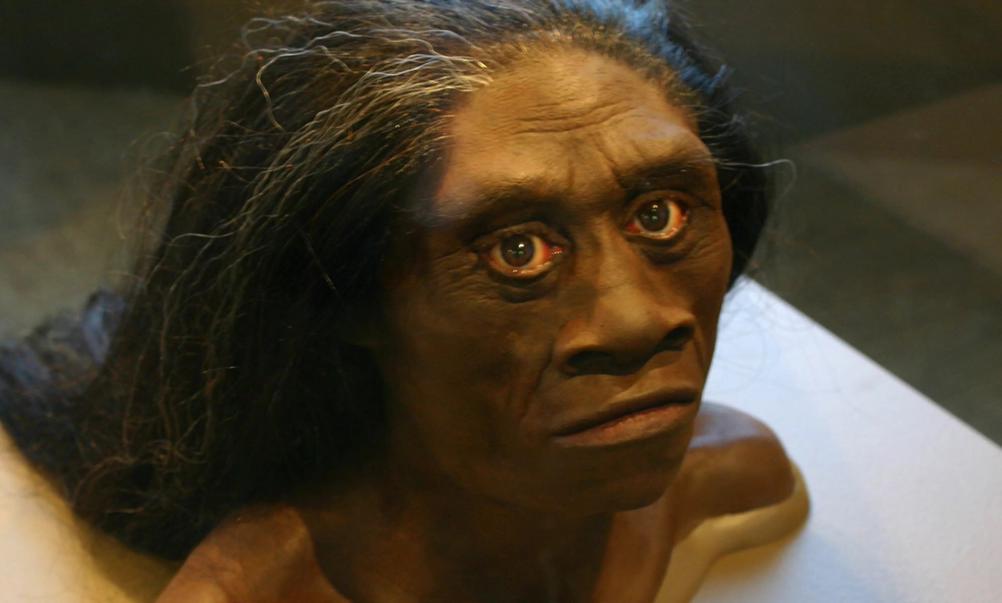 37-facts-about-homo-floresiensis