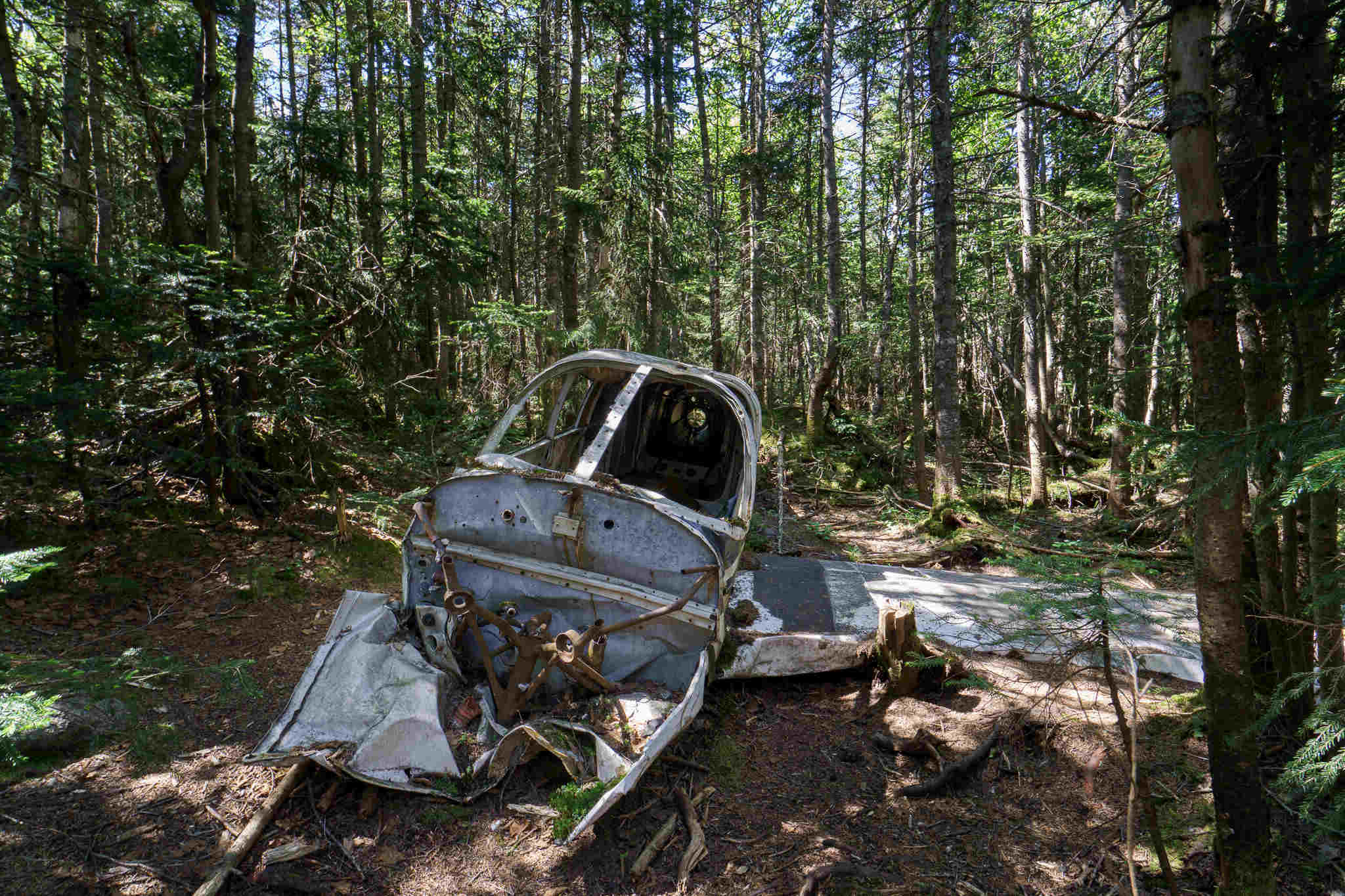 37-facts-about-marshall-plane-crash