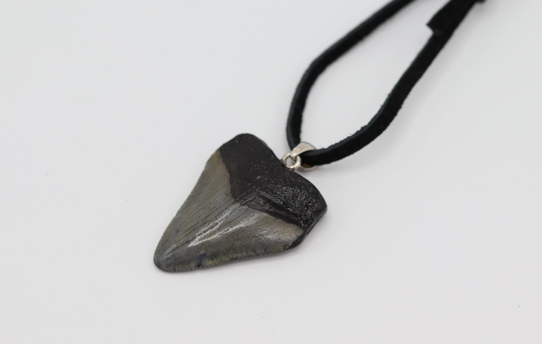 37-facts-about-megalodon-tooth-necklace