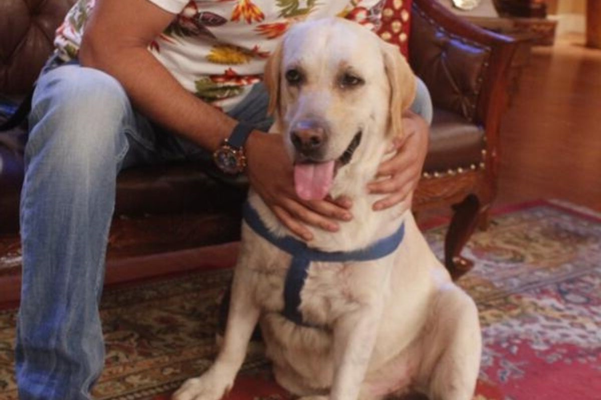 37-facts-about-zanjeer-dog