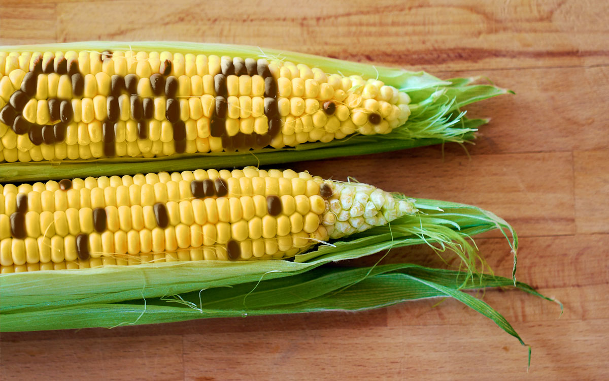 38-facts-about-non-gmo