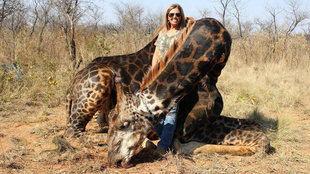 40-facts-about-black-giraffe-trophy-hunter