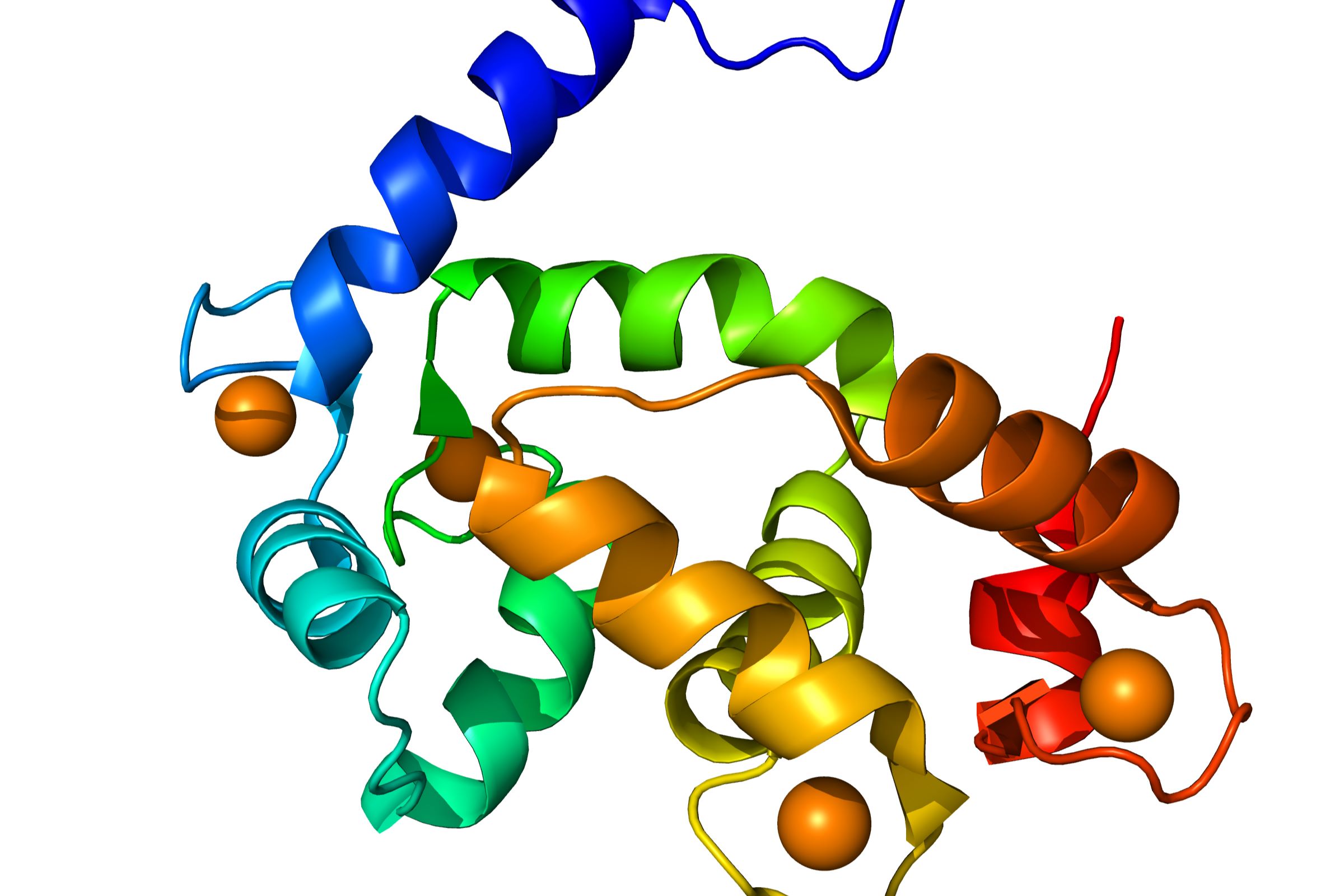 40-facts-about-calmodulin