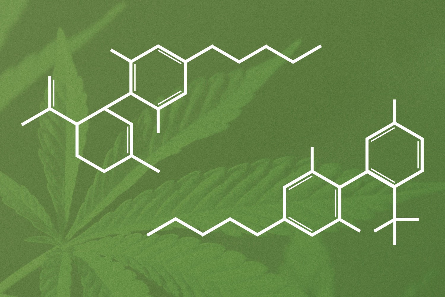 40-facts-about-cannabinol