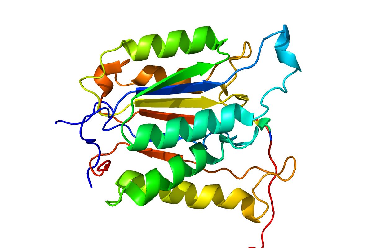 40-facts-about-caspase