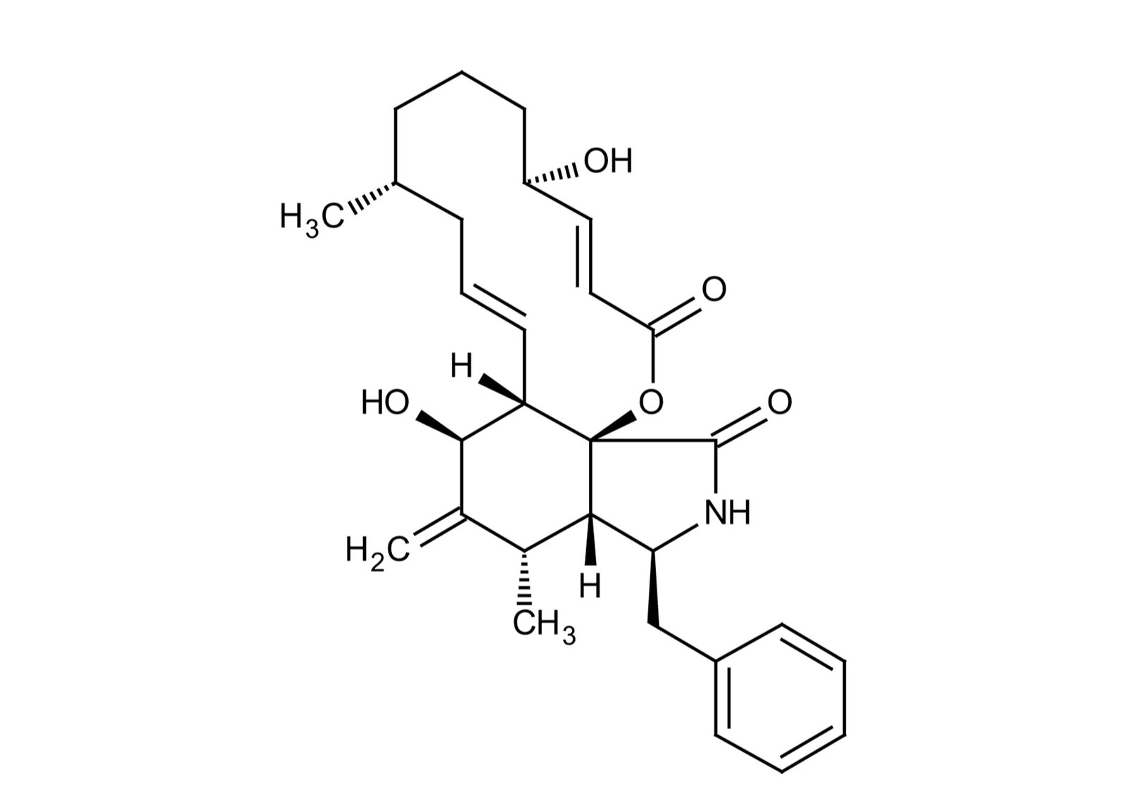 40-facts-about-cytochalasin