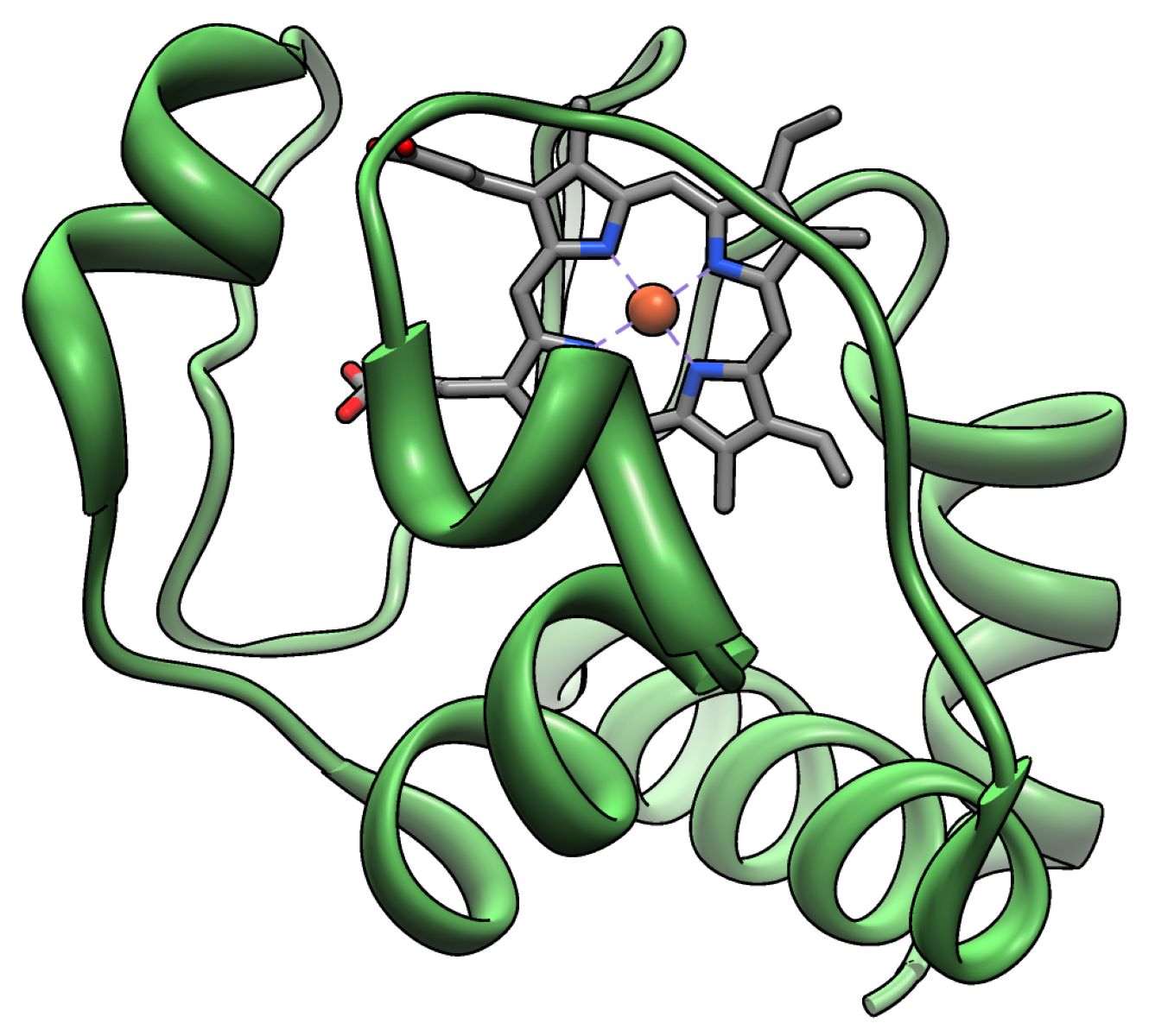 40-facts-about-cytochrome-c-peroxidase