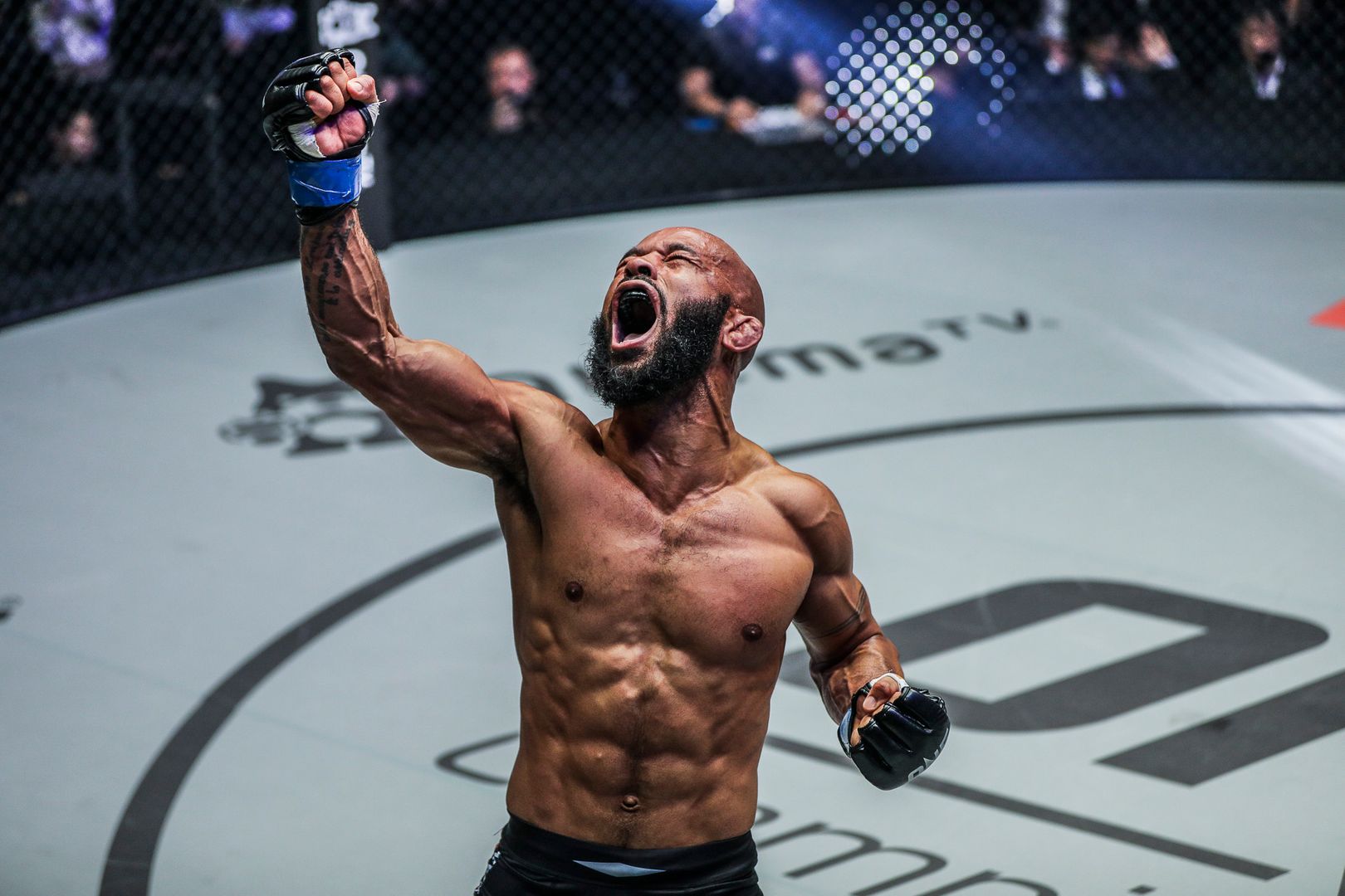 40-facts-about-demetrious-johnson