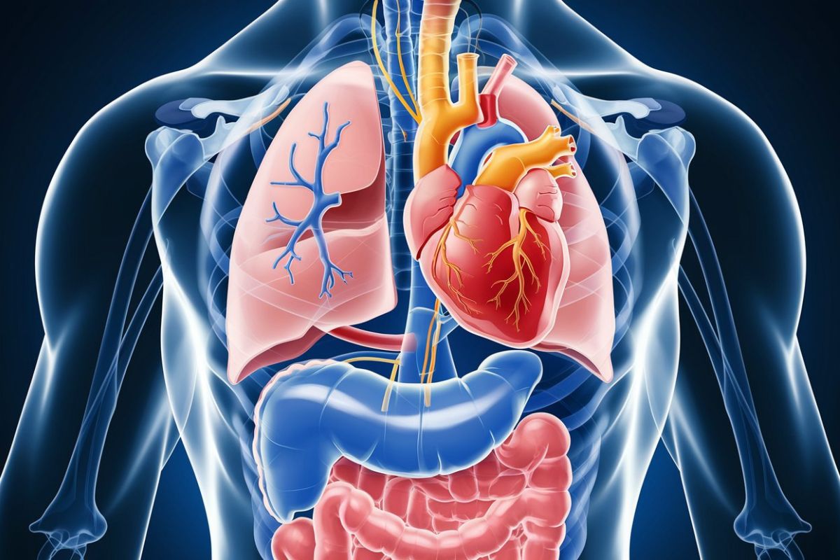 40-facts-about-dextrocardia-with-situs-inversus