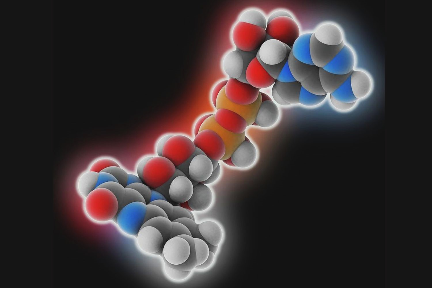 40-facts-about-flavin-adenine-dinucleotide-fad