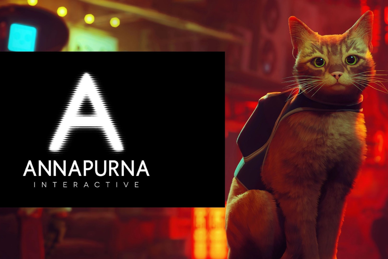 50-facts-about-annapurna-interactive