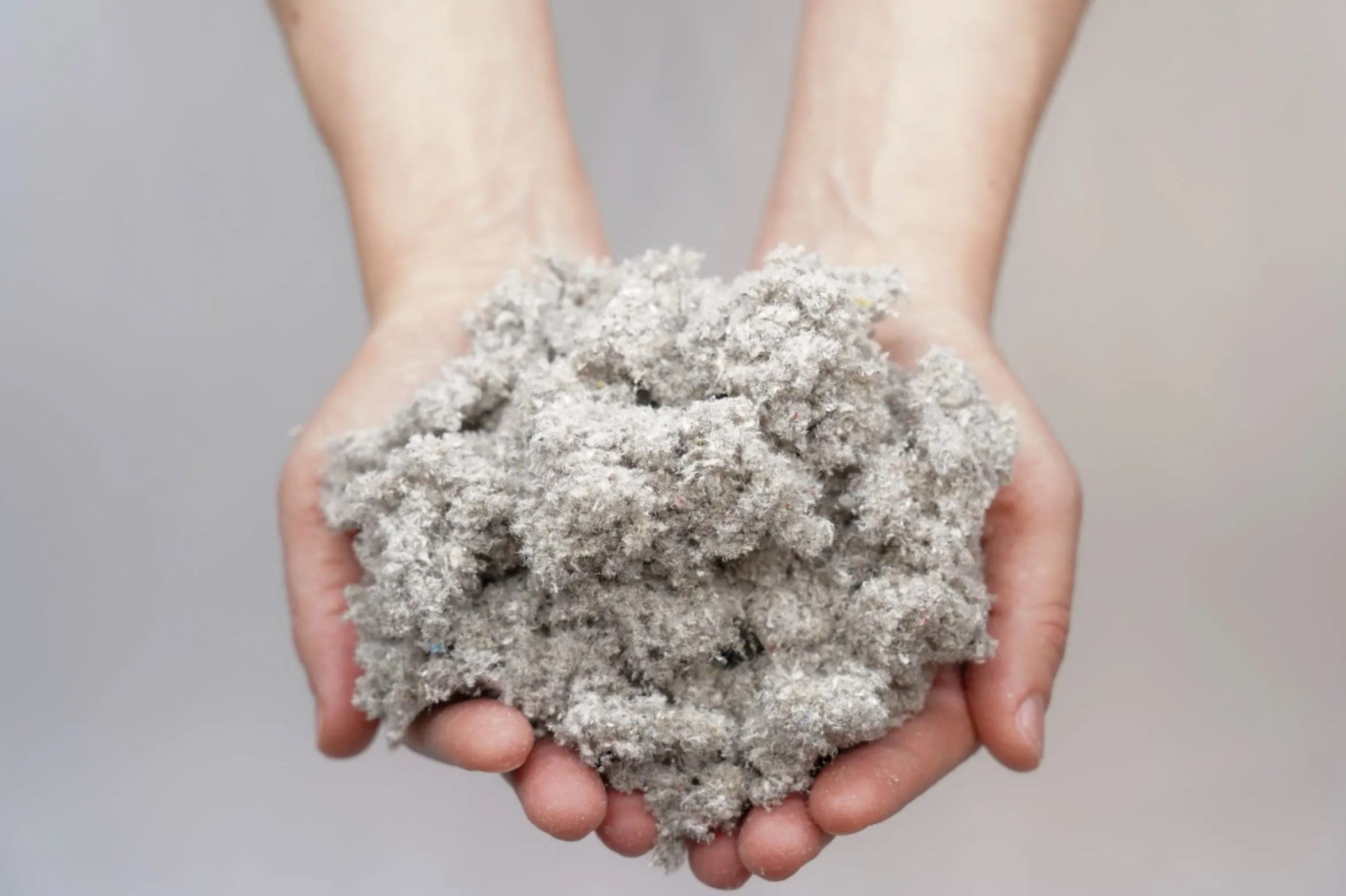 50-facts-about-cellulose