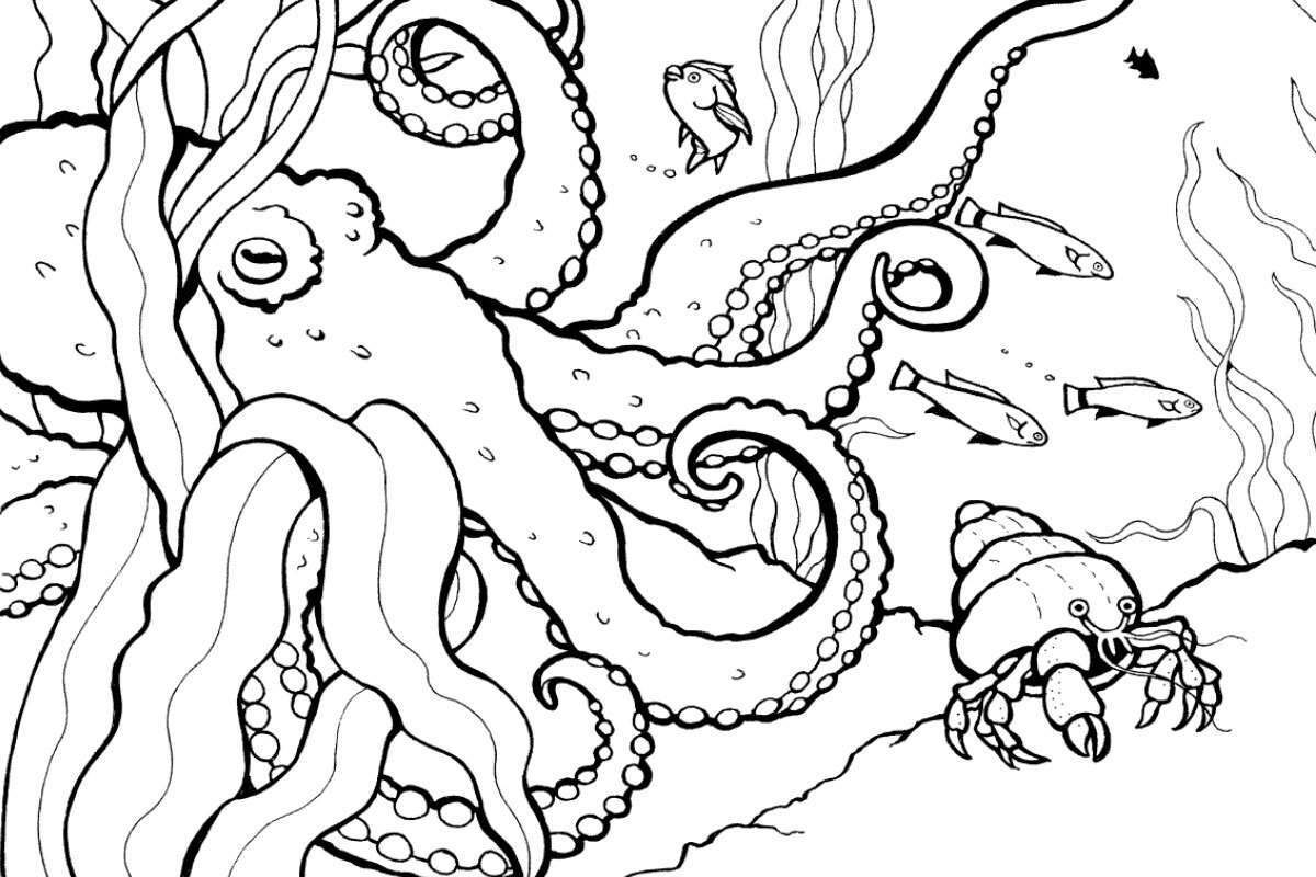 50-facts-about-coloring-pages