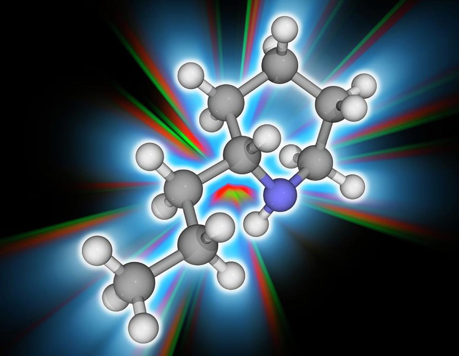 50-facts-about-coniine