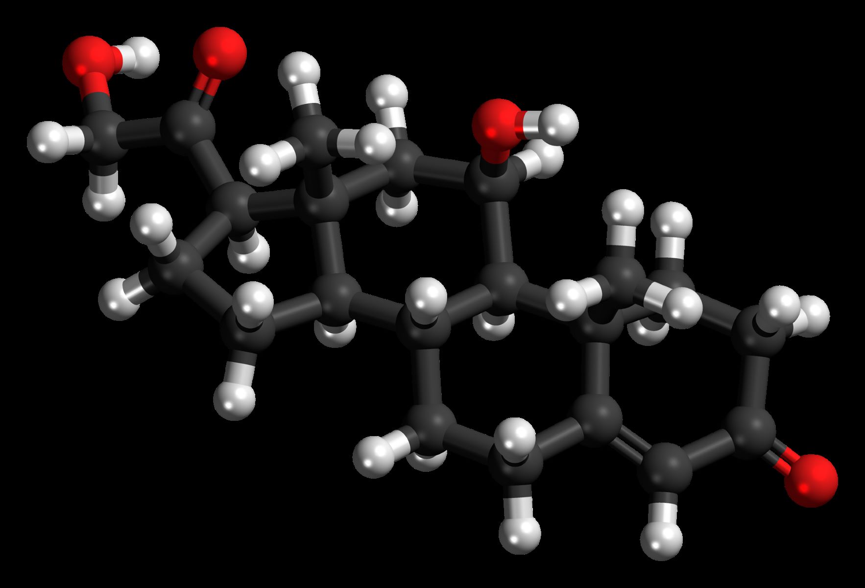 50-facts-about-corticosterone