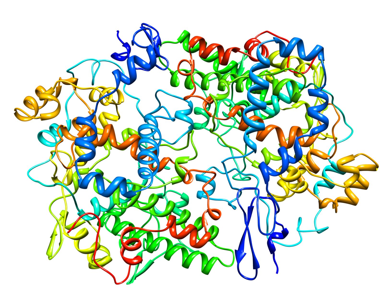 50-facts-about-cyclooxygenase