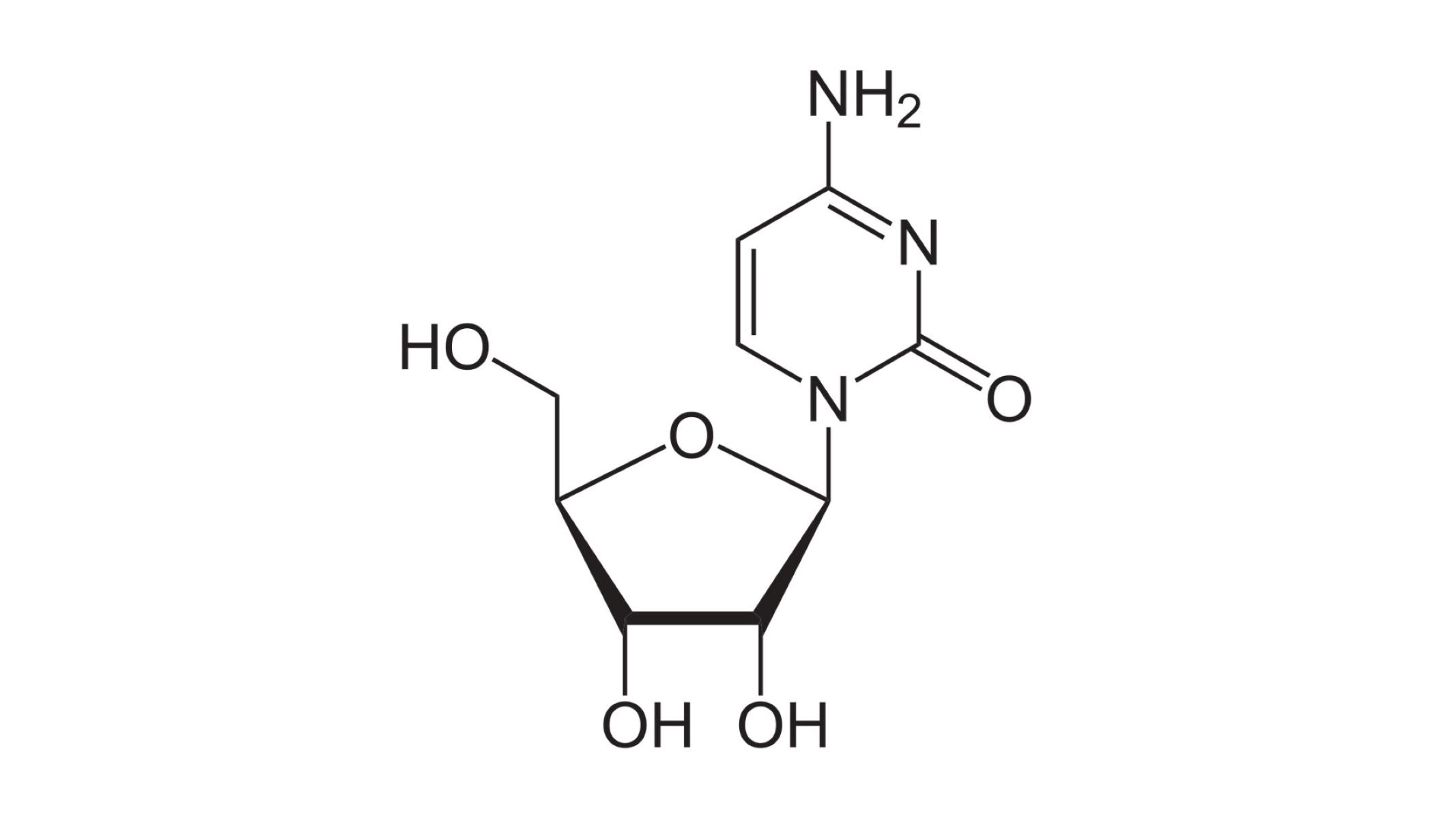 50-facts-about-cytidine