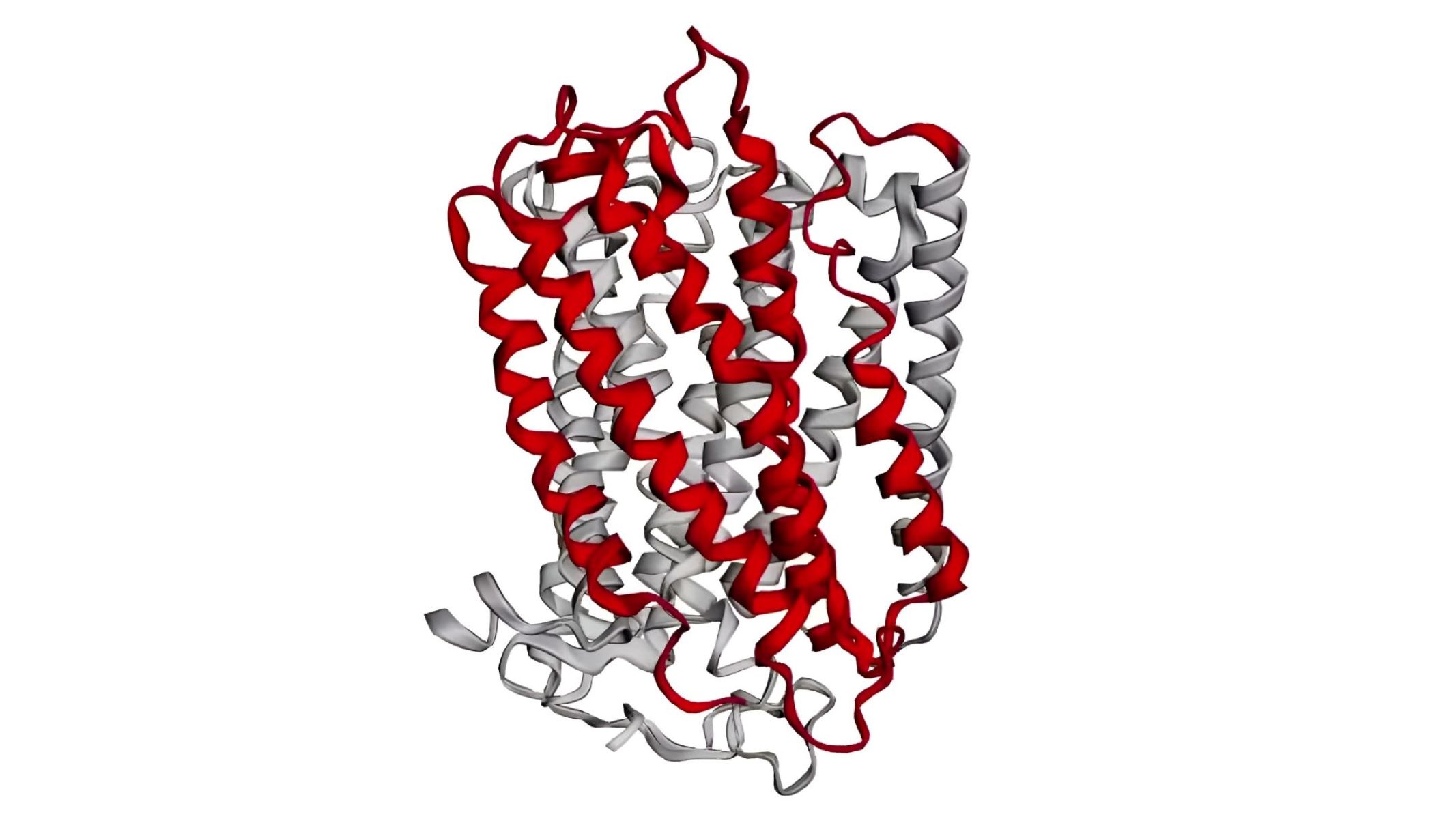 50-facts-about-cytochrome-c-oxidase