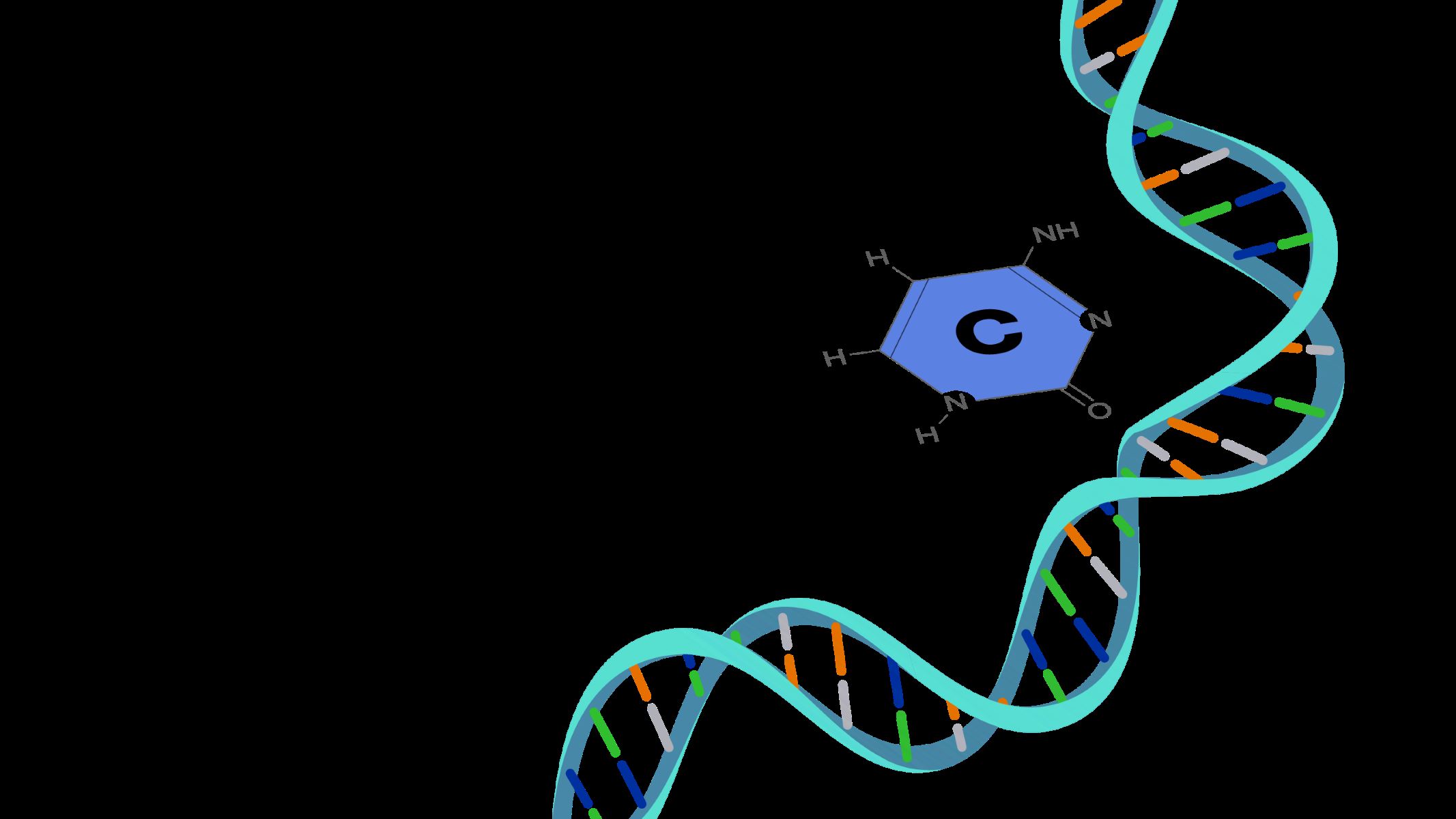 50-facts-about-cytosine