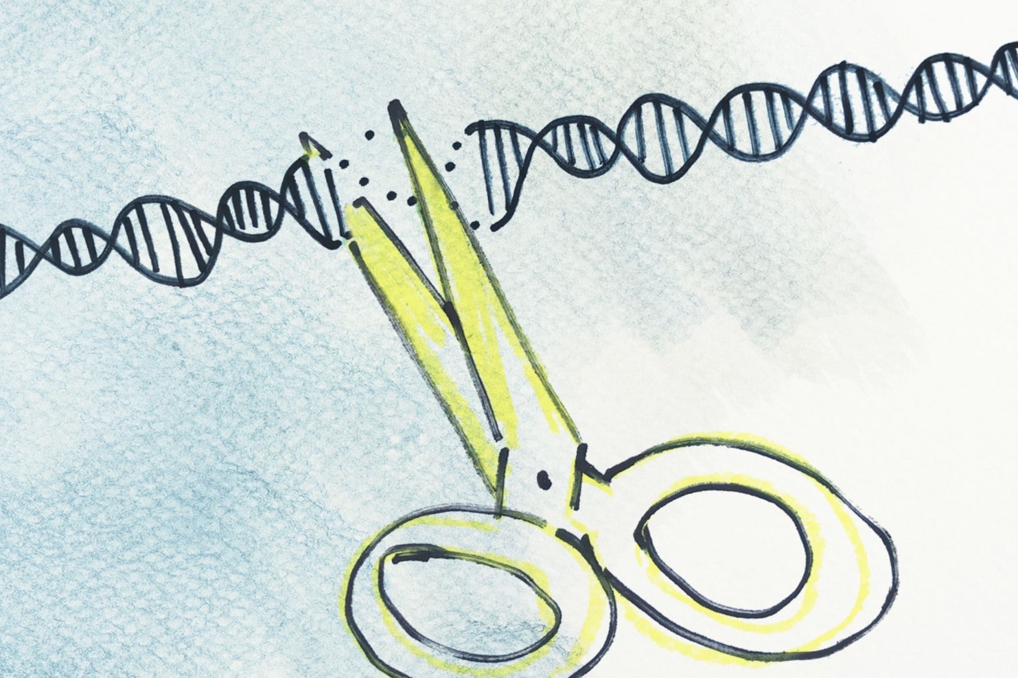 50-facts-about-endonuclease