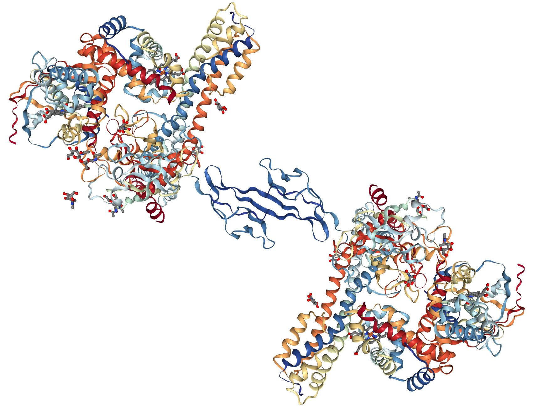 50-facts-about-haptoglobin