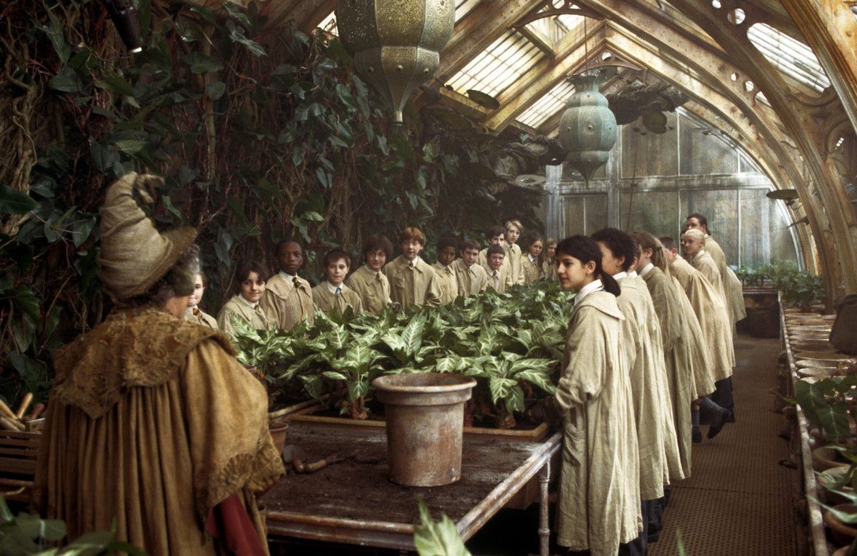 50-facts-about-herbology