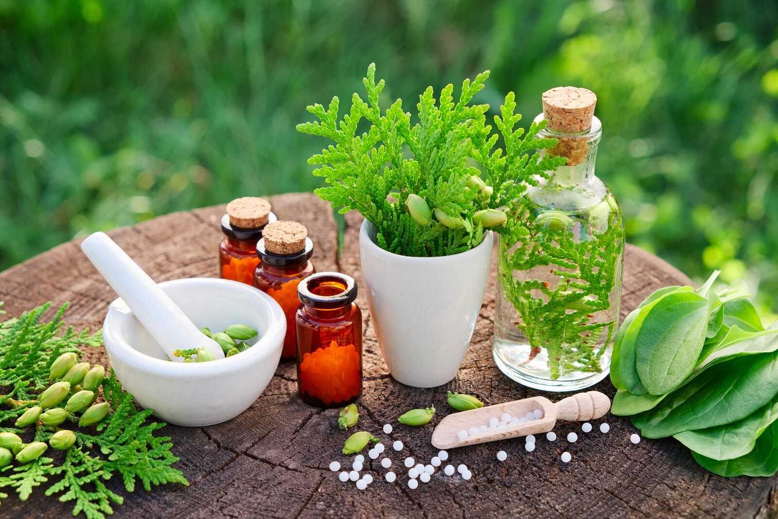 50-facts-about-holistic-medicine