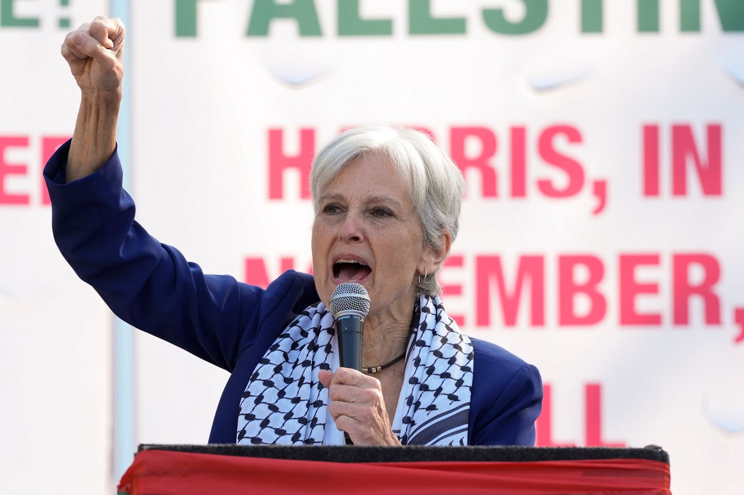 50-facts-about-jill-stein