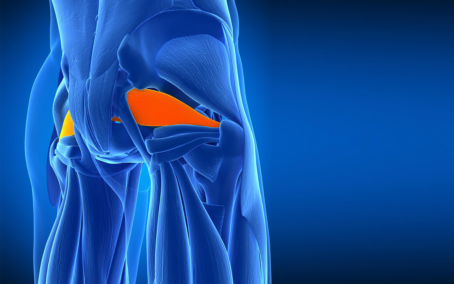 50-facts-about-piriformis-syndrome