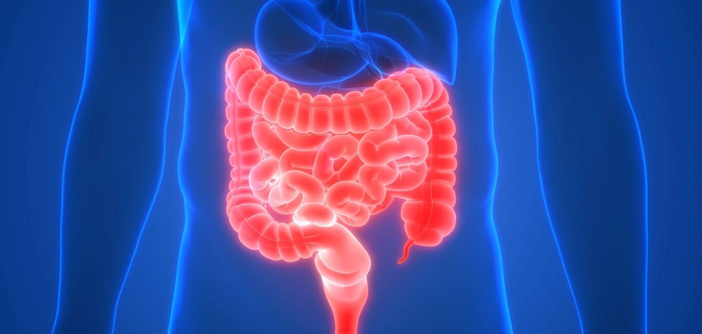 50 Facts About Short Bowel Syndrome - Facts.net