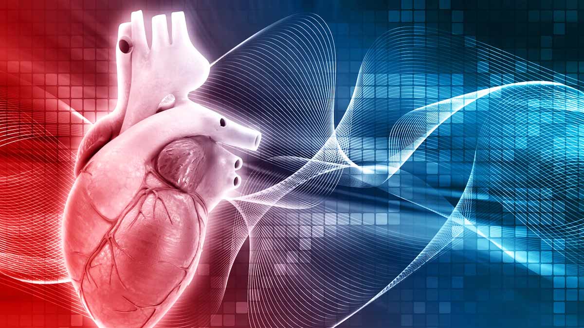 50-facts-about-sick-sinus-syndrome