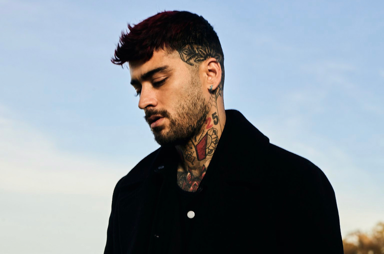 50-facts-about-zayn-malik