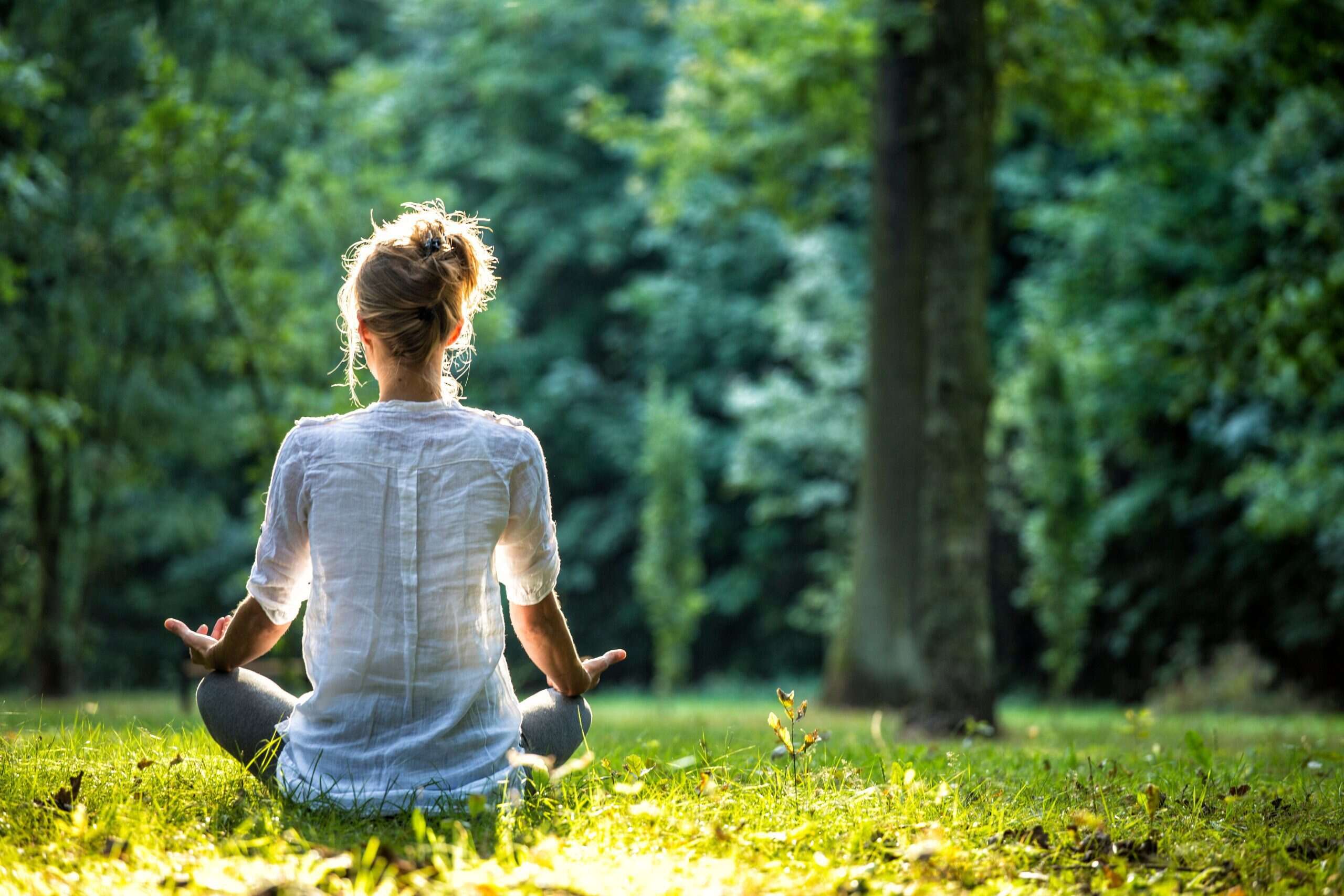 20-facts-about-the-benefits-of-meditation