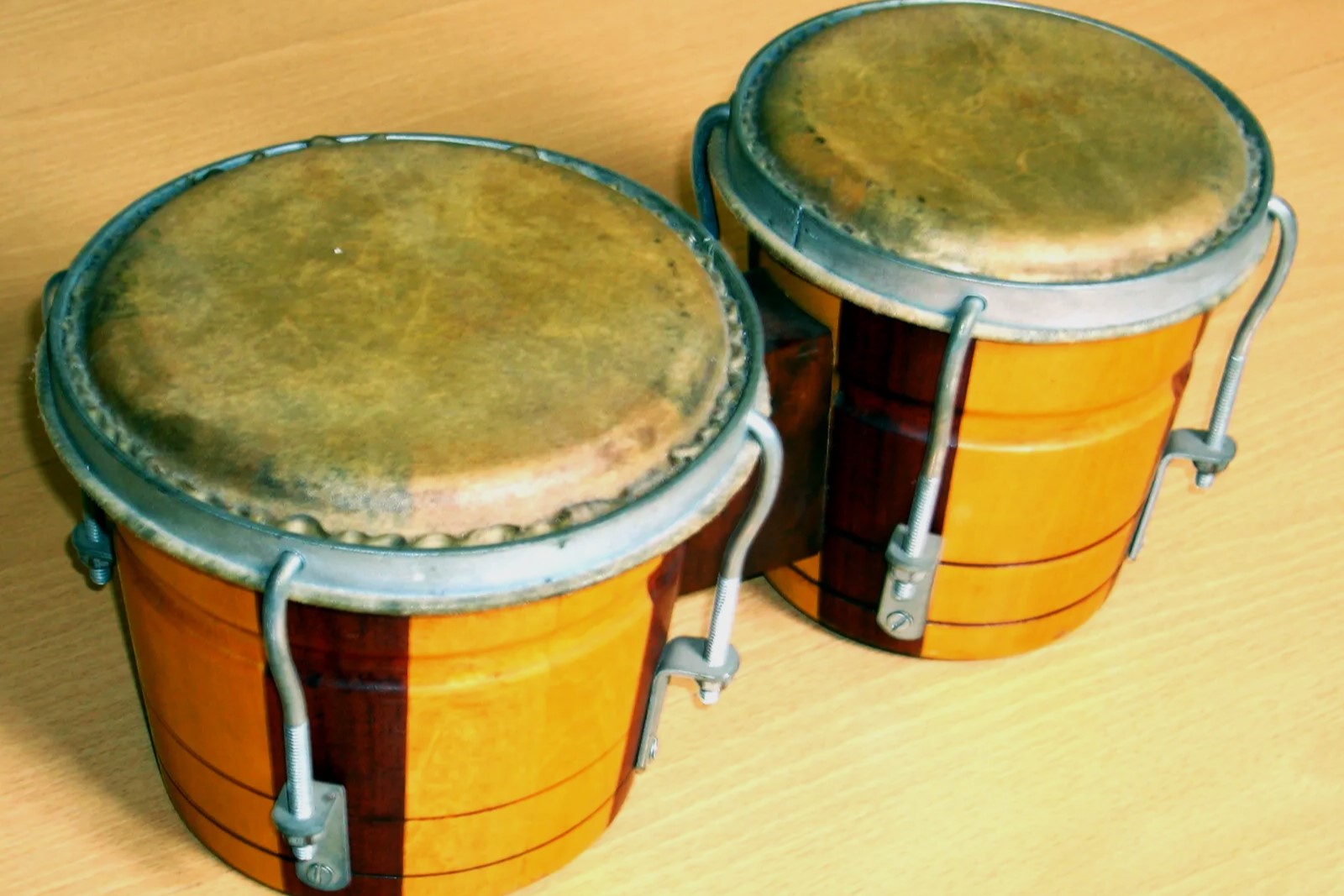 23-facts-about-bongo-drums