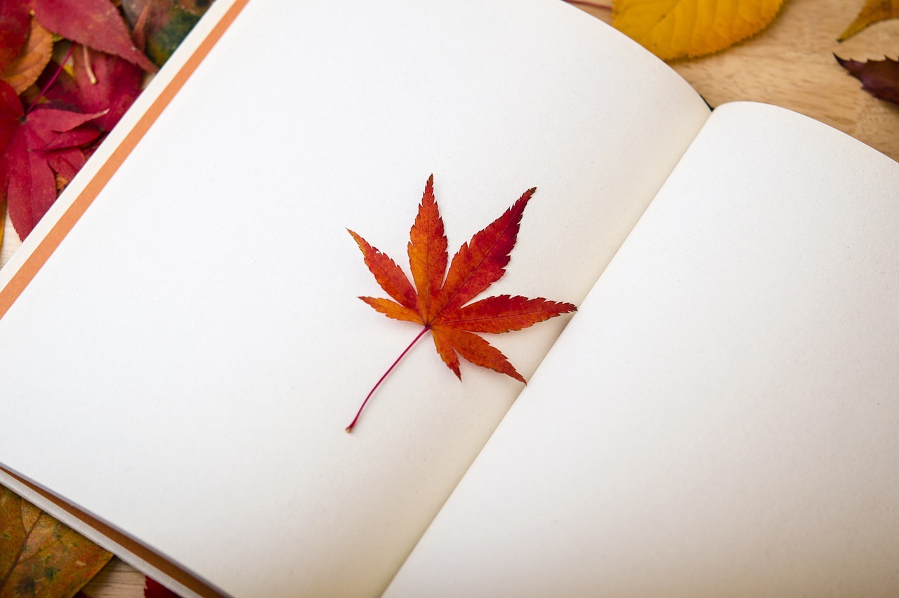 23-facts-about-canadian-literature