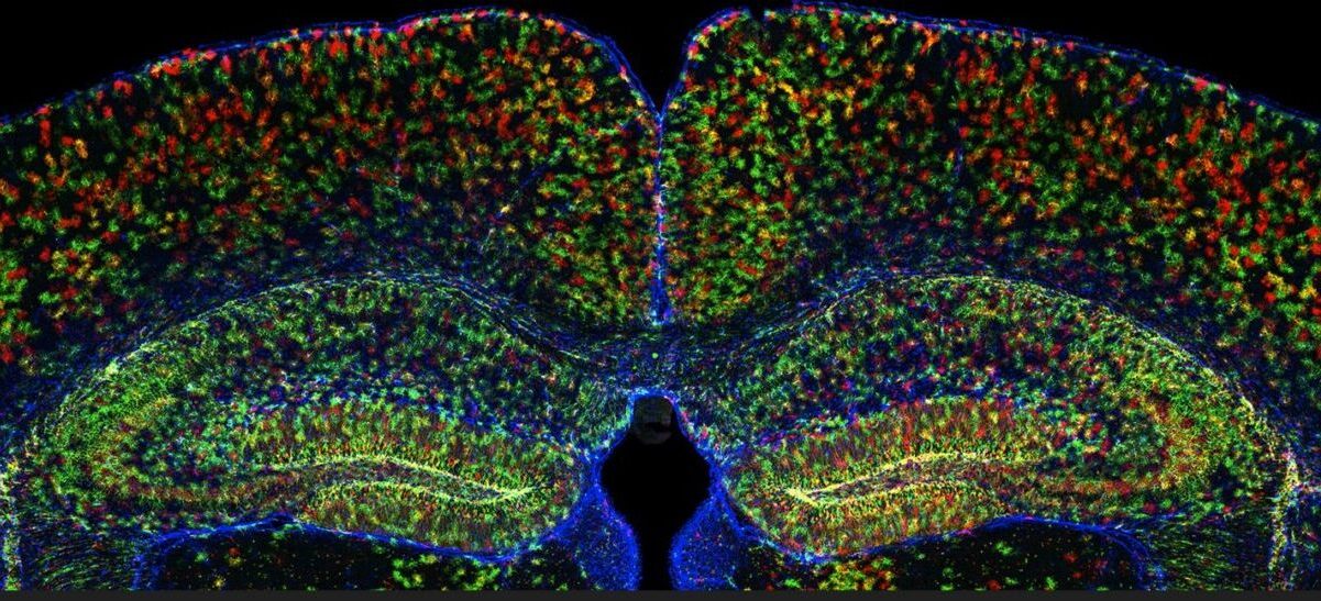 25-facts-about-calcium-signaling