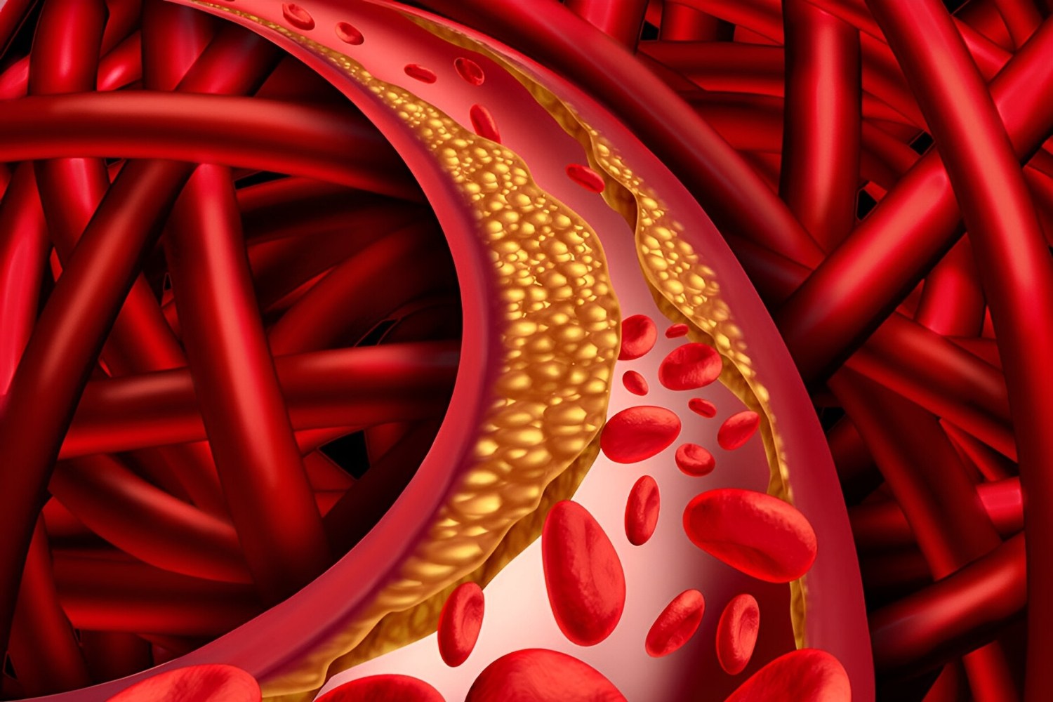 25-facts-about-cholesterol-levels